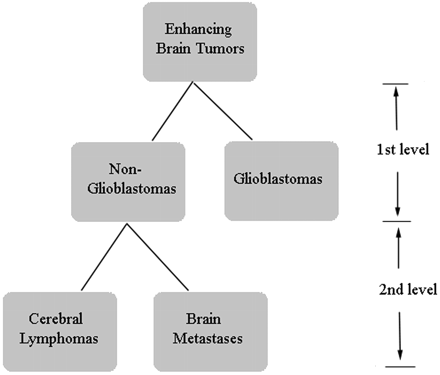 Fig 1.