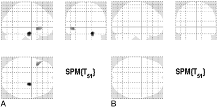 Fig 1.