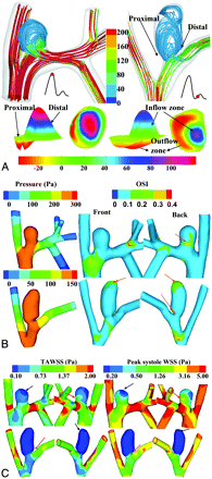 Fig 3.