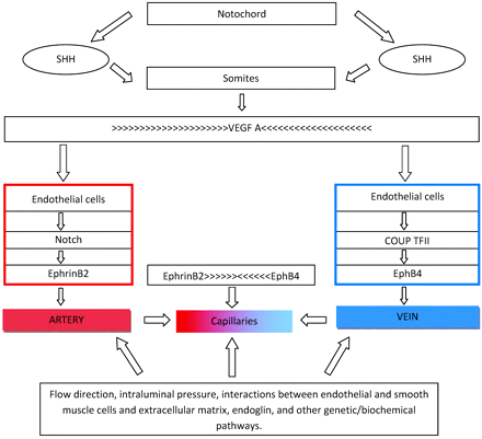 Fig 1.