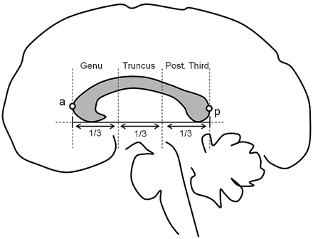 Fig 1.