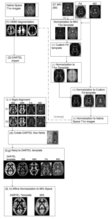 Fig 1.