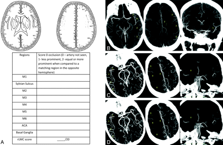 Fig 1.