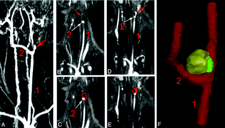 Fig 2.