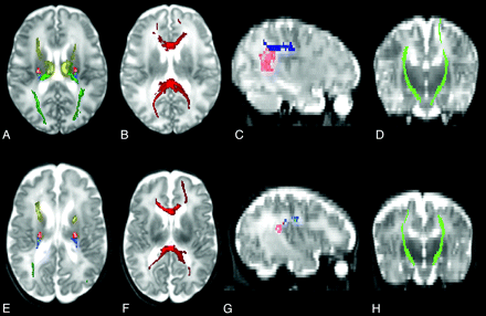 Fig 1.