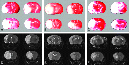 Fig 4.