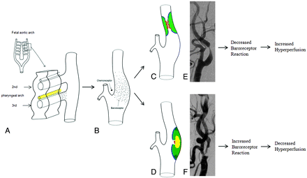 Fig 1.