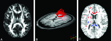 Fig 1.