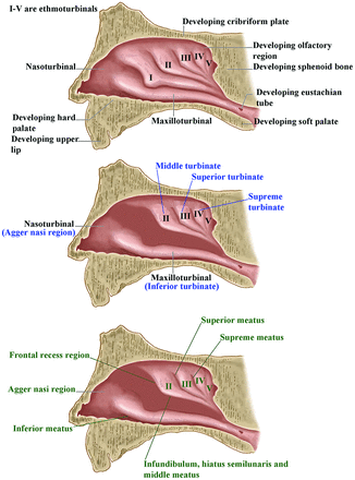 Fig 10.