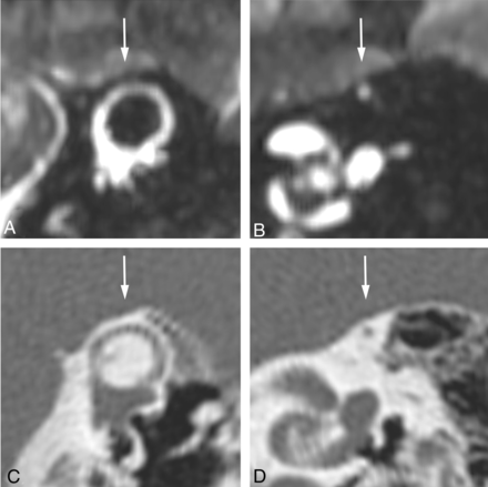 Fig 1.