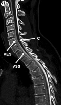 Fig 1.