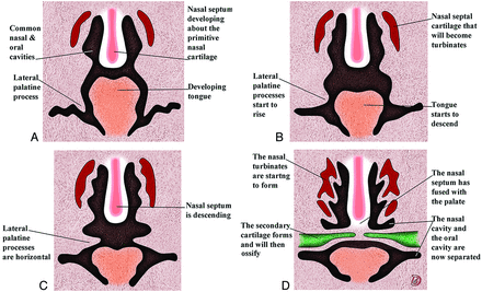 Fig 2.