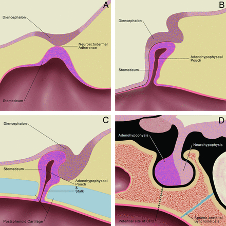 Fig 5.