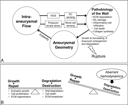 Fig 2.