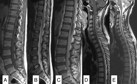 Fig 3.