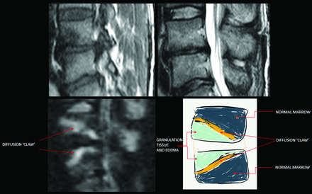 Fig 1.