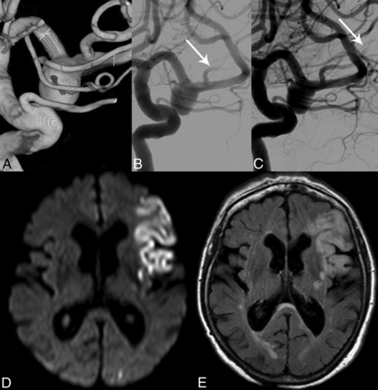 Fig 2.