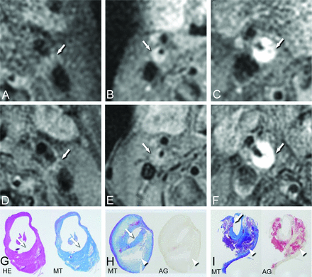 Fig 2.