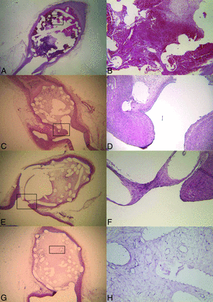 Fig 2.