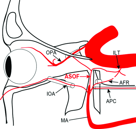 Fig 2.