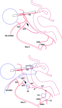 Fig 6.