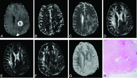 Fig 1.