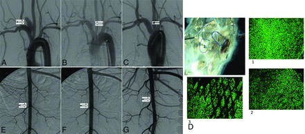 Fig 3.