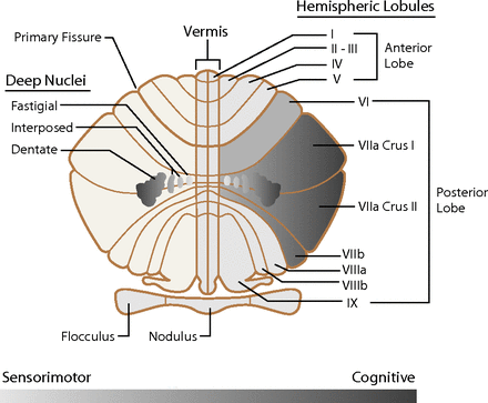 Fig 3.