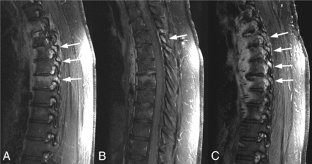 Fig 3.