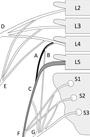 Fig 2.