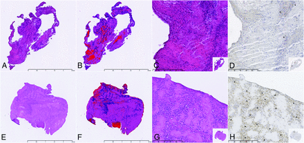 Fig 3.