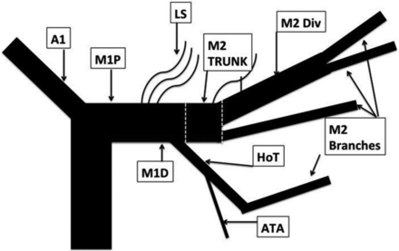 Fig 2.