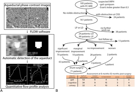 Fig 1.