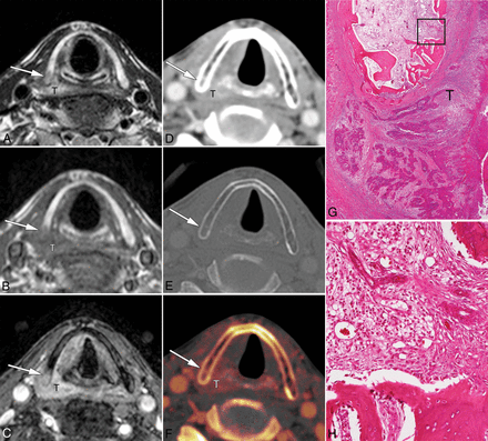 Fig 1.
