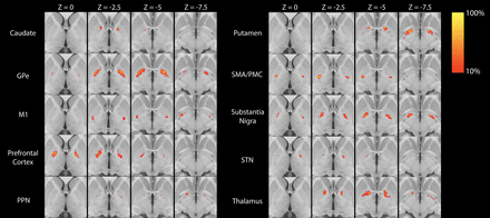 Fig 1.