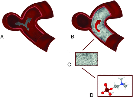 Fig 1.