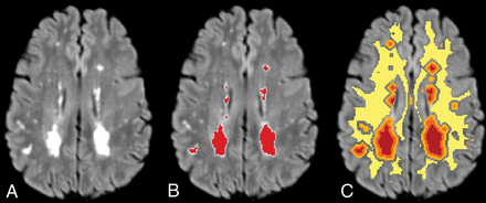 Fig 1.