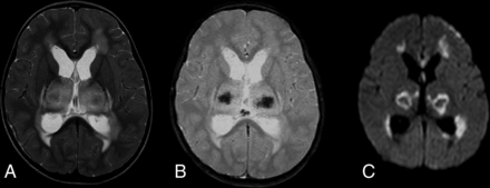 FIG 6.