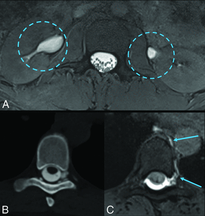 Fig 2.