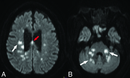 Fig 3.