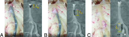 FIG 3.