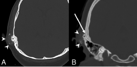 FIG 8.