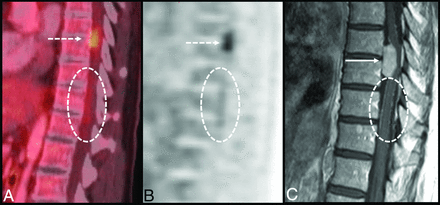 FIG 7.