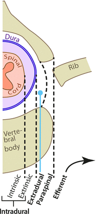 FIG 2.