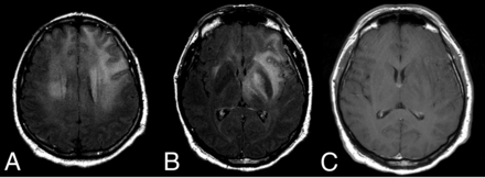 FIG 7.