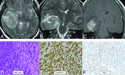 FIG 10.