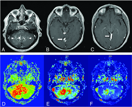 FIG 8.