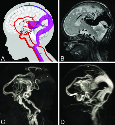 FIG 3.