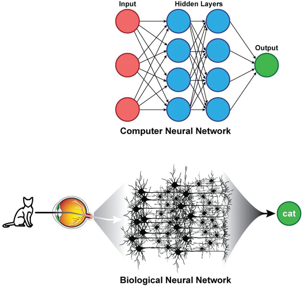 Разделить музыку нейросеть. Искусственная нейронная сеть схема. Многослойная нейронная сеть. Искусственные нейронные сети распознавание. Модель нейронной сети.