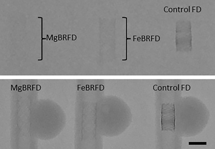 FIG 4.